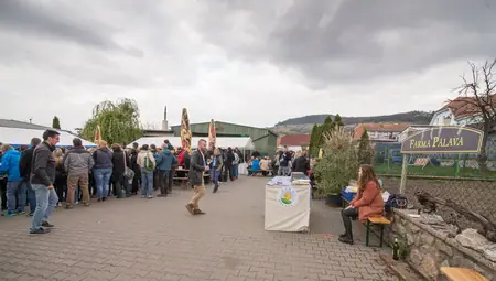 Otevřené sklepy Perná 2017 — fotografie 82