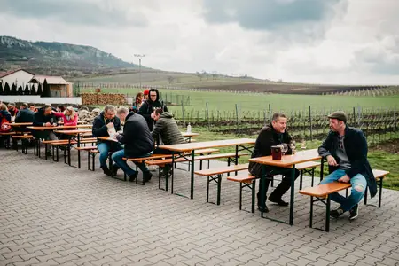 Otevřené sklepy Perná 2019 — fotografie 11
