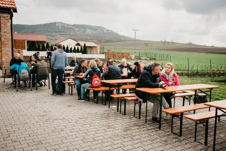 Otevřené sklepy Perná 2019 — fotografie 13