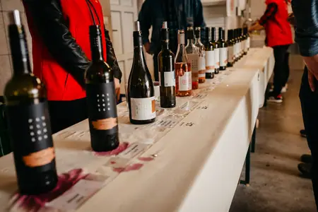 Otevřené sklepy Perná 2019 — fotografie 17