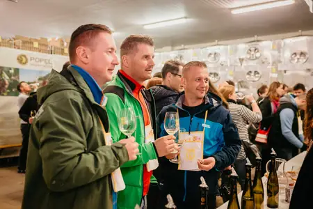 Otevřené sklepy Perná 2019 — fotografie 58