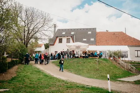 Otevřené sklepy Perná 2019 — fotografie 102