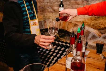 Otevřené sklepy Perná 2019 — fotografie 108