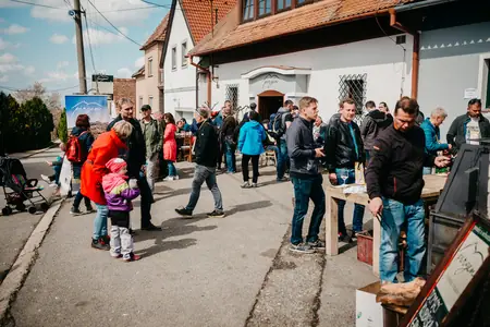 Otevřené sklepy Perná 2019 — fotografie 153