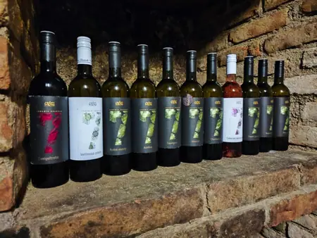 Vinařství  Sedmikráska — fotografie 4
