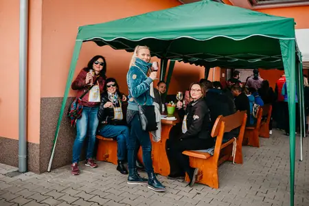 Otevřené sklepy Perná 2019 — fotografie 212