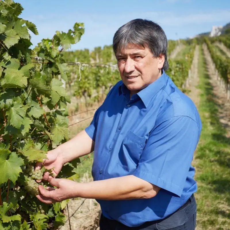 Vinařství Popela Stanislav