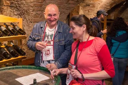 Otevřené sklepy Perná 2018 — fotografie 41