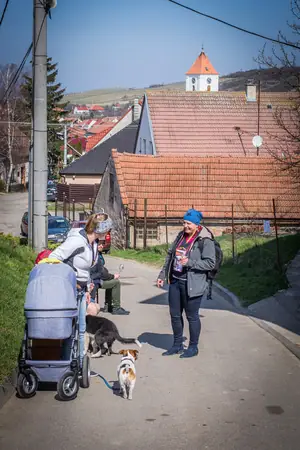 Otevřené sklepy Perná 2018 — fotografie 147