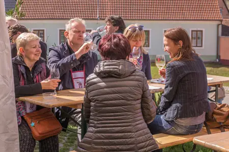 Otevřené sklepy Perná 2018 — fotografie 150